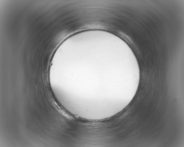 X0000078881236200612111731