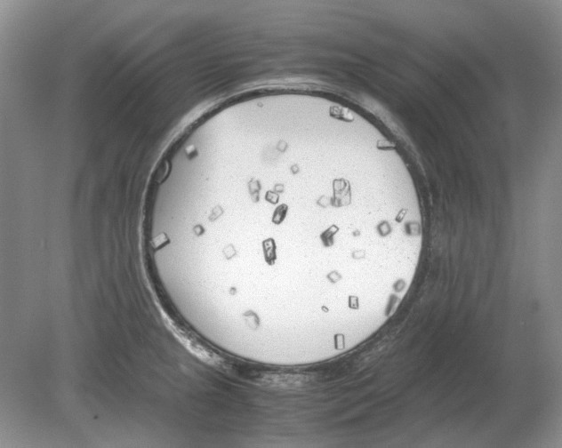 X0000078881237200612111731