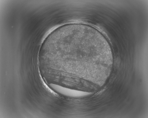 X0000078881239200612111731