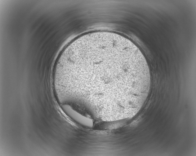 X0000078881240200612111731