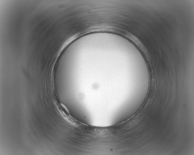 X0000078881242200612111731