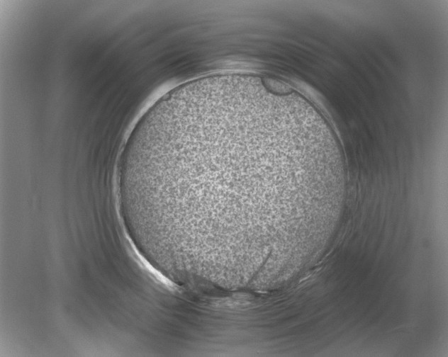 X0000078881243200612111731