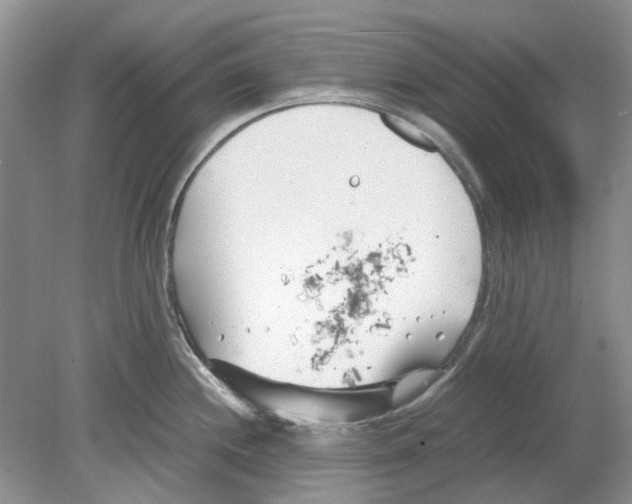 X0000078881244200612111731