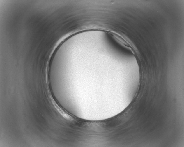 X0000078881246200612111731