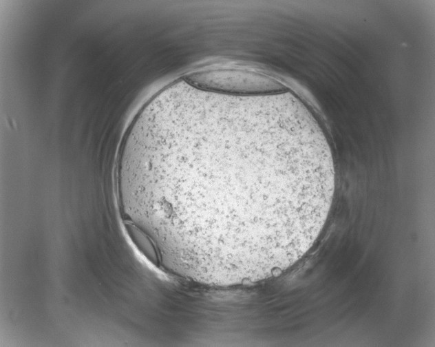 X0000078881247200612111731