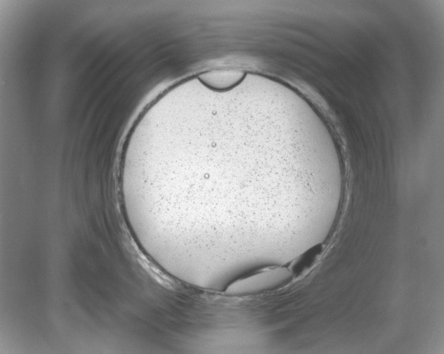 X0000078881248200612111731