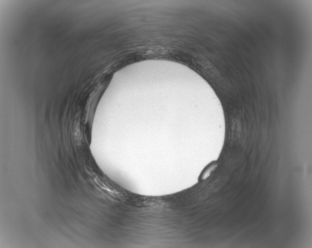 X0000078881250200612111730