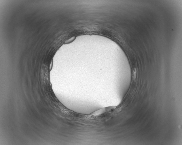 X0000078881251200612111730