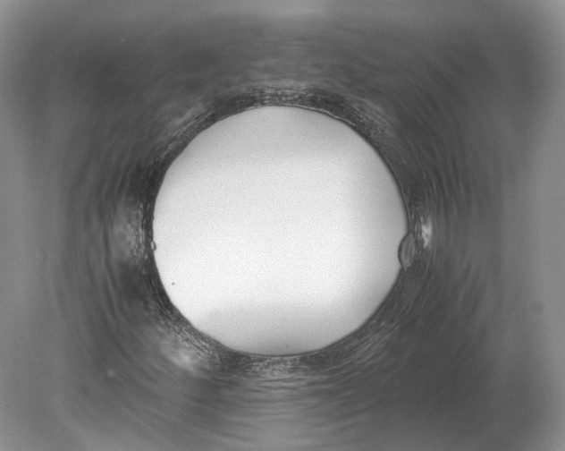 X0000078881252200612111730