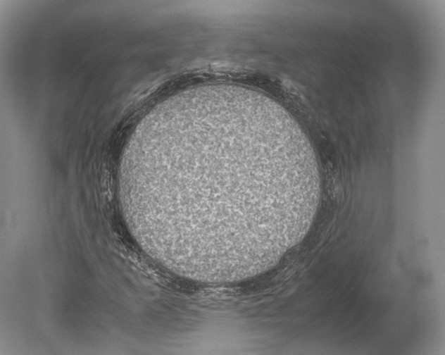 X0000078881253200612111730