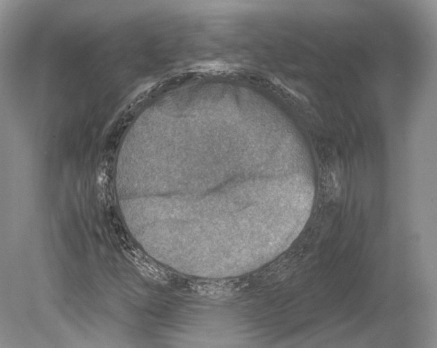 X0000078881254200612111730