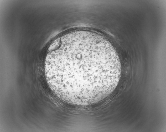 X0000078881255200612111730