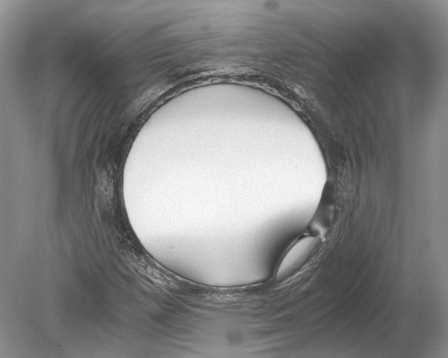 X0000078881257200612111730