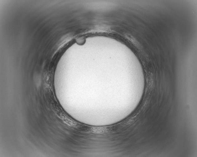 X0000078881258200612111730