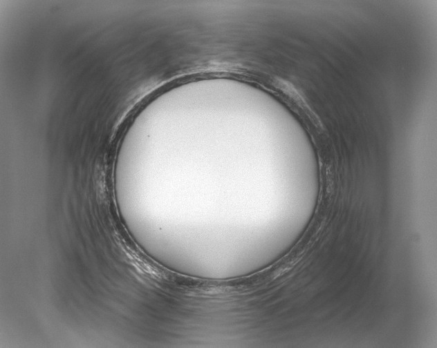 X0000078881260200612111730