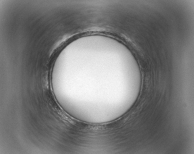 X0000078881262200612111730