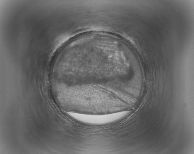 X0000078881263200612111730