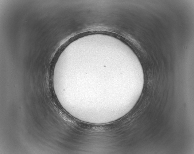 X0000078881264200612111730