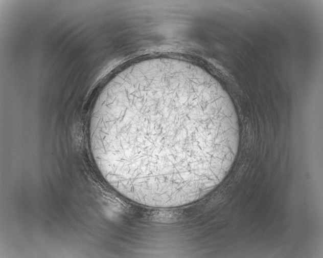 X0000078881266200612111730