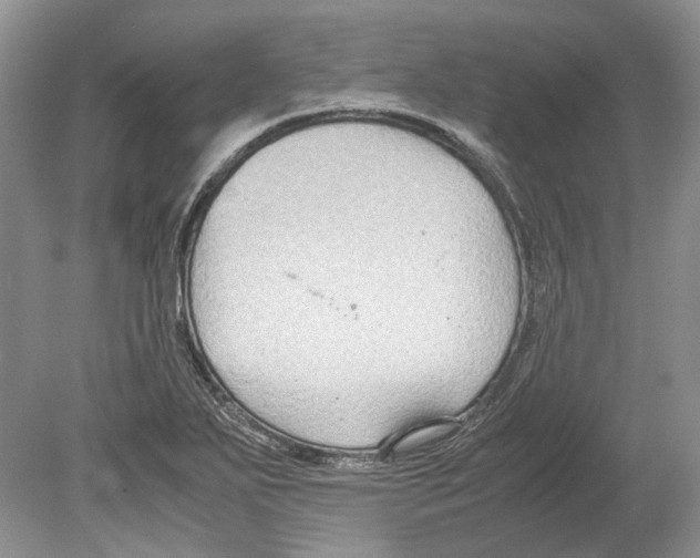 X0000078881271200612111730