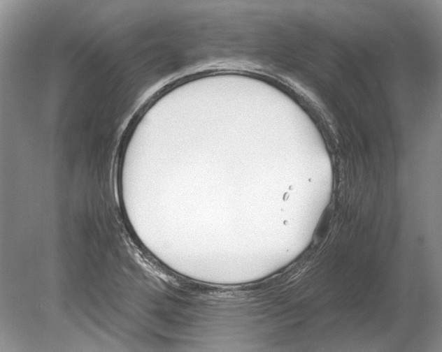 X0000078881272200612111730