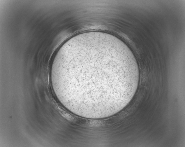 X0000078881274200612111730