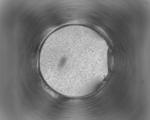 X0000078881276200612111730