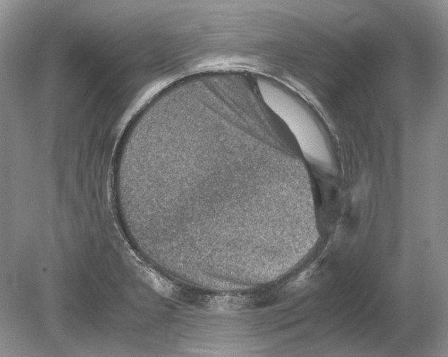 X0000078881277200612111730