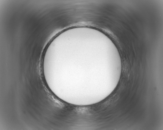 X0000078881278200612111730