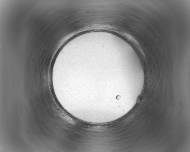 X0000078881280200612111730