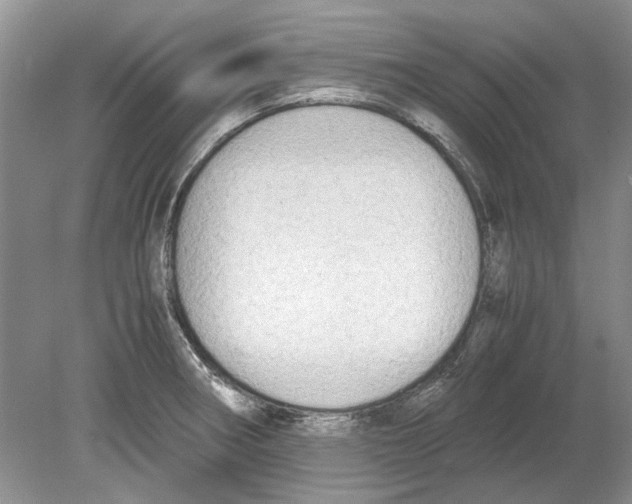 X0000078881282200612111730