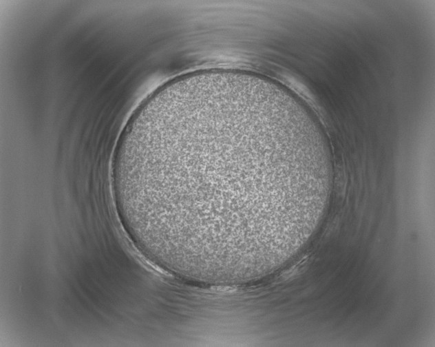 X0000078881283200612111730