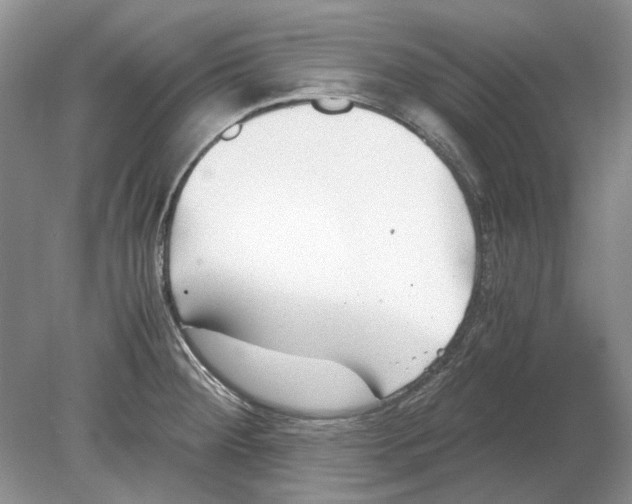 X0000078881284200612111730