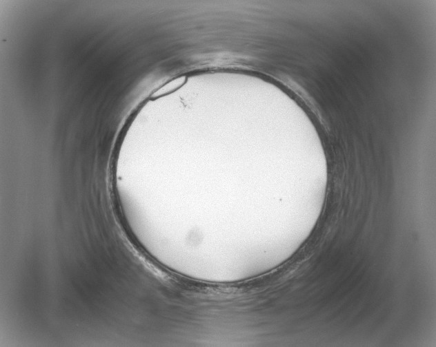 X0000078881285200612111730