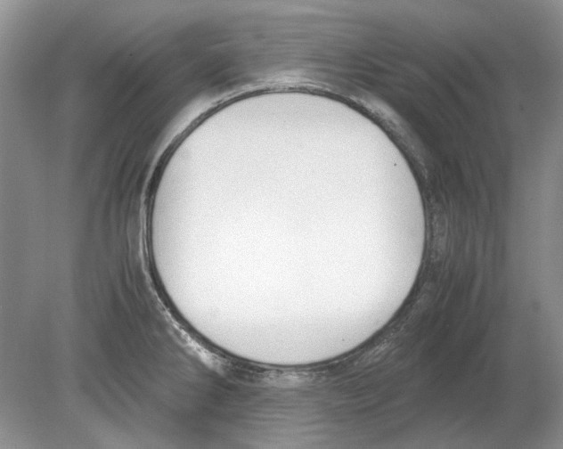 X0000078881286200612111730