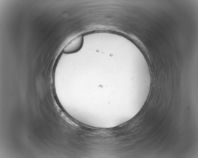 X0000078881287200612111730