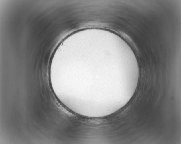 X0000078881288200612111730