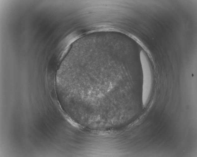 X0000078881289200612111730