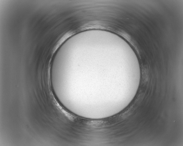 X0000078881290200612111730