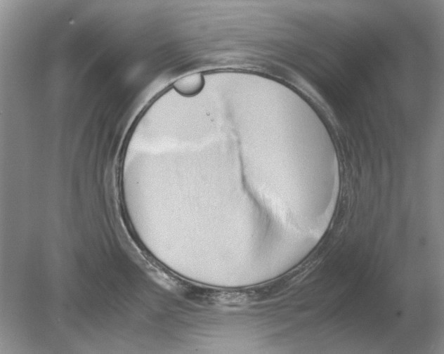 X0000078881291200612111730