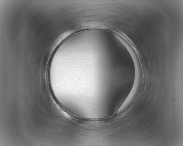 X0000078881293200612111730