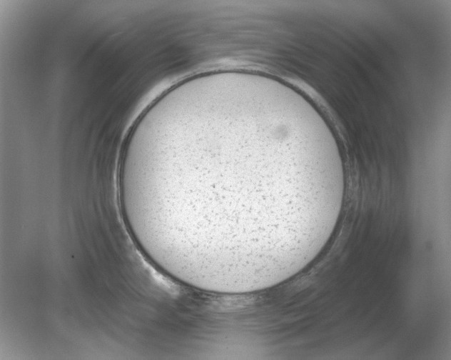 X0000078881294200612111730