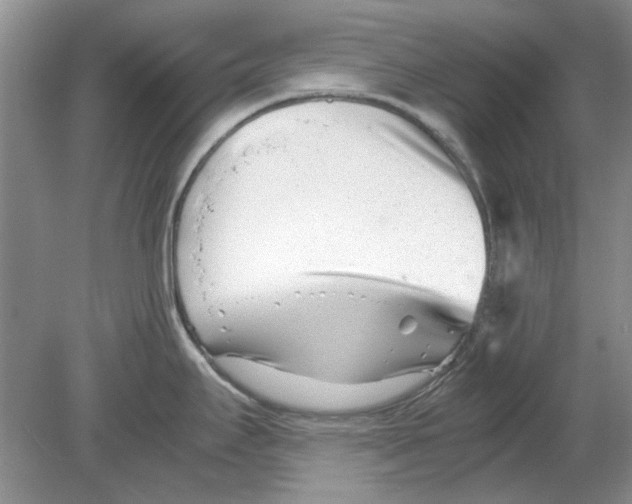 X0000078881295200612111730