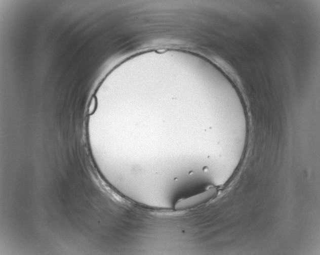 X0000078881296200612111730