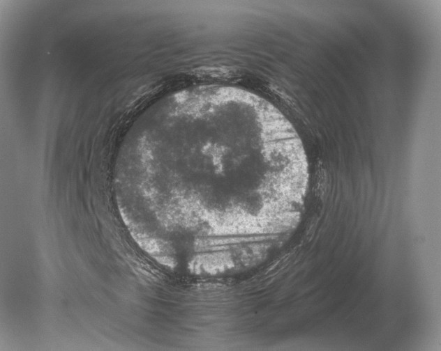 X0000078881297200612111729