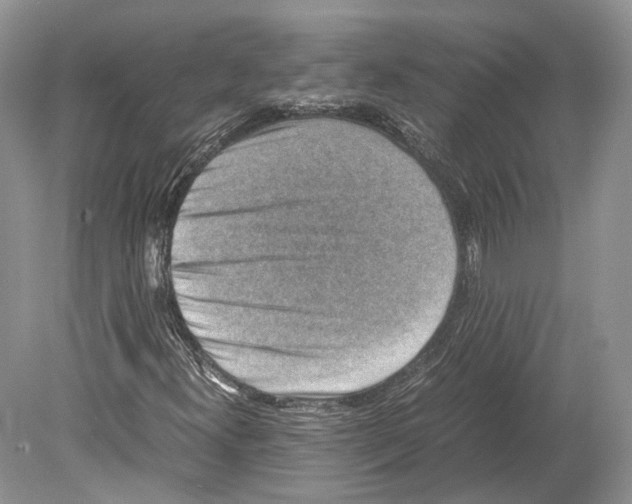 X0000078881300200612111729