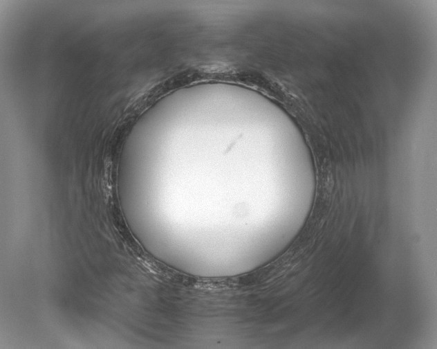 X0000078881301200612111729