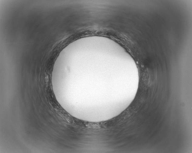 X0000078881302200612111729