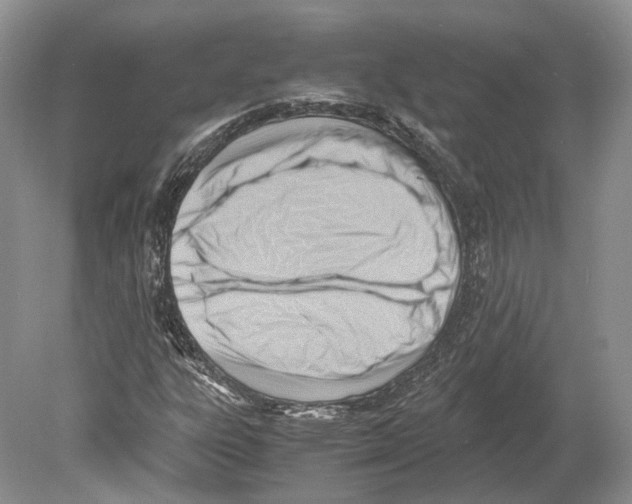 X0000078881303200612111729