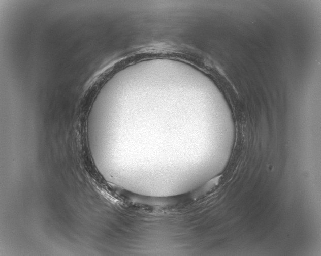 X0000078881304200612111729